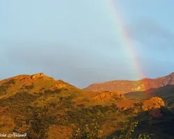 Arcoiris