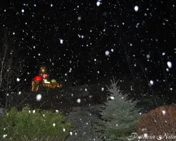 Nevada de noche
