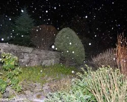 Nevada de noche