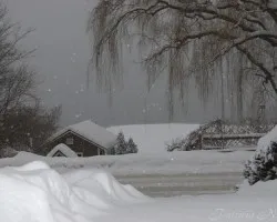 Nieve!