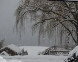 Nieve!