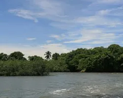 Entre dos aguas