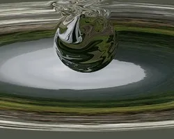 Una gota de medio ambiente