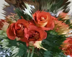 Vendo rosas a crédito