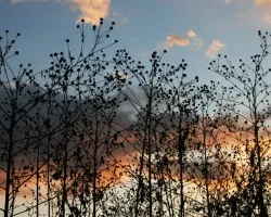 Atardecer en La Eulalia