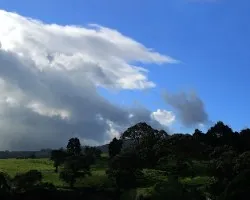 El bosque encantado