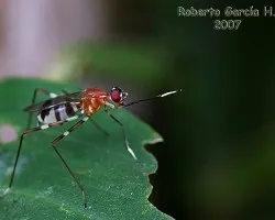 Hola! 