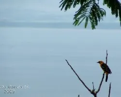 Dscf4919c