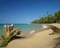 Punta Uva 1
