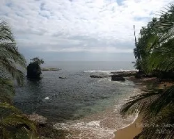 Manzanillo 3