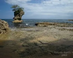 Manzanillo 2