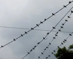 Mis vecinas!