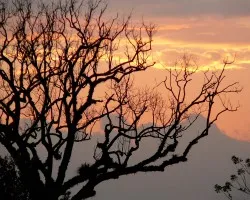 Atardeceres esperados