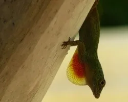 Quiero que me vean!!