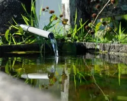 Un poco de tranquilidad