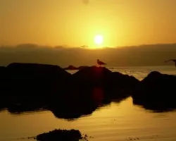 Bajo el Ocaso