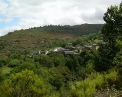 Fervenza