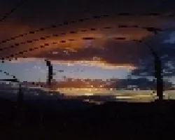 Las espigas del atardecer