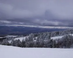 Nieve