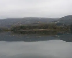 Reflejos