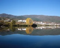 Reflejos