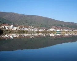 Reflejos