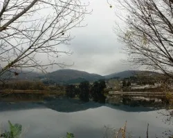 Reflejos
