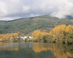 Reflejos