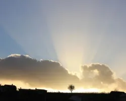 Suave atardecer