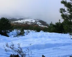 Otro de nieve