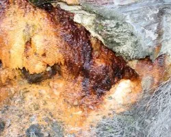 Aguas ferruginosas