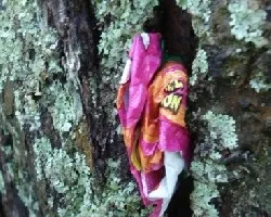 basura