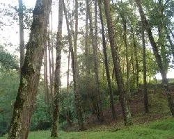 parque ecologico zoatzingo5