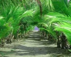 Camino Uno
