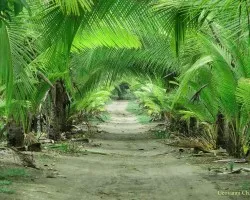Camino Dos