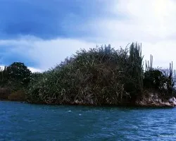 islote 1