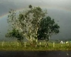 arcoiris 6