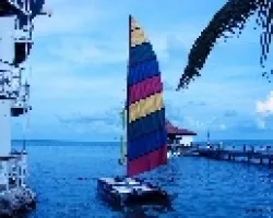 Velero