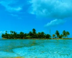 Paisaje 2