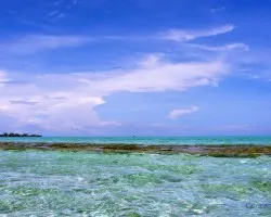 Paisaje 5