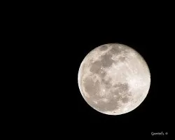 Luna 
