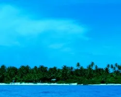 Isla