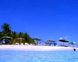 paisaje 1