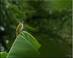 otro mas