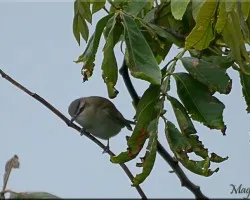 Foto3
