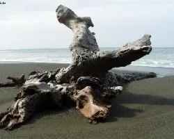 escultura natural