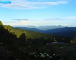 Finca