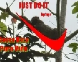 just do it