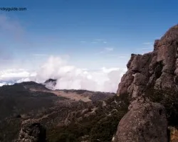 sabana los Leones