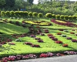 Jardin